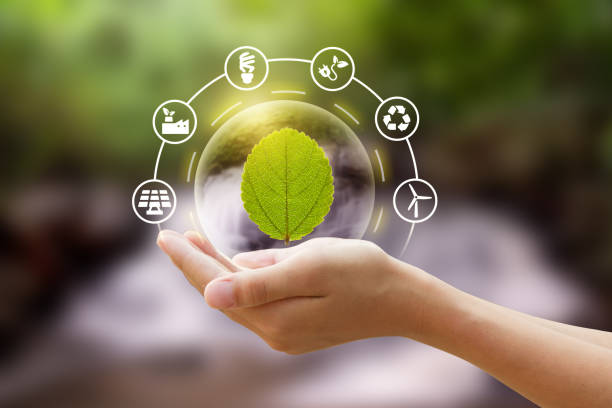 Hand holding a bubble of leaf with eco icon and Nature background metaphor sustainable lifestyle and Eco friendly